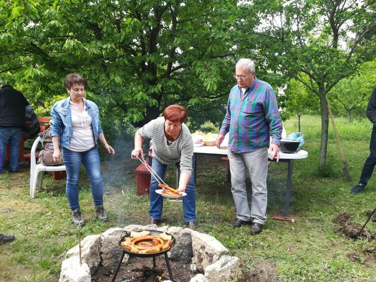 Valeria Vendeghaz Daire Budakalász Dış mekan fotoğraf